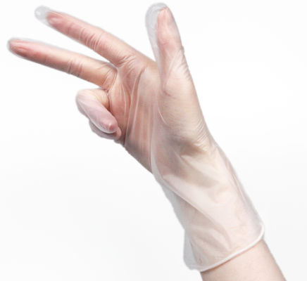 9 Inch Powder Free Disposable Vinyl Gloves For Foodservice