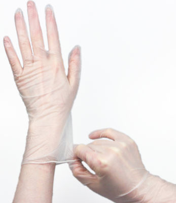 9 Inch Powder Free Disposable Vinyl Gloves For Foodservice
